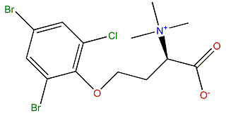 Purpuroine E